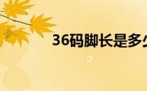 36码脚长是多少厘米（36码）