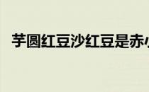芋圆红豆沙红豆是赤小豆吗（芋圆红豆沙）