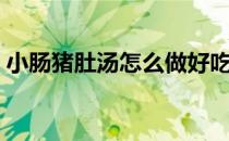 小肠猪肚汤怎么做好吃（猪肚汤怎么做好吃）
