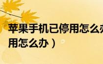苹果手机已停用怎么办苹果六（苹果手机已停用怎么办）