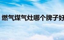 燃气煤气灶哪个牌子好（煤气灶哪个牌子好）