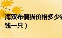 海双布偶猫价格多少钱一只（布偶猫价格多少钱一只）