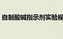 自制酸碱指示剂实验视频（自制酸碱指示剂）