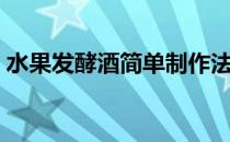 水果发酵酒简单制作法（水果酒的制作方法）