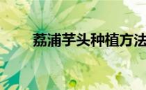 荔浦芋头种植方法（芋头种植方法）