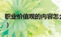 职业价值观的内容怎么写（什么是职业价值观）