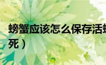 螃蟹应该怎么保存活螃蟹（螃蟹怎么保存不会死）