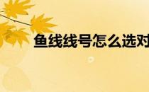 鱼线线号怎么选对照表（鱼线线号）