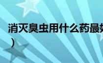 消灭臭虫用什么药最好（消灭臭虫的最佳办法）