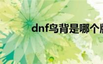 dnf鸟背是哪个版本（dnf鸟背）