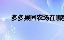 多多果园农场在哪里（多多果园农场）