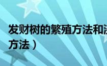 发财树的繁殖方法和浇水视频（发财树的繁殖方法）