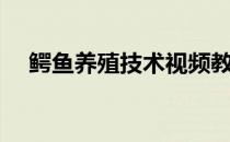 鳄鱼养殖技术视频教程（鳄鱼养殖技术）