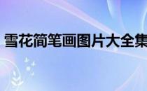 雪花简笔画图片大全集（雪花的简笔画图片）