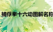 捕俘拳十六动图解名称（捕俘拳十六动图解）
