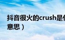 抖音很火的crush是什么意思（crush是什么意思）
