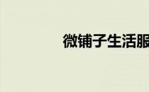 微铺子生活服务（微铺子）
