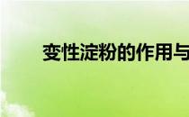 变性淀粉的作用与功效（变性淀粉）
