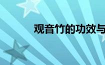 观音竹的功效与作用（观音竹）