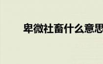 卑微社畜什么意思（社畜什么意思）