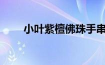 小叶紫檀佛珠手串（小叶紫檀佛珠）