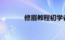 修眉教程初学者（修眉教程）