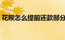 花呗怎么提前还款部分（花呗怎么提前还款）