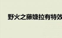 野火之藤婕拉有特效吗（野火之藤婕拉）