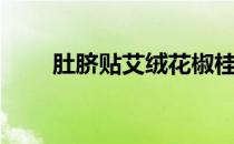 肚脐贴艾绒花椒桂圆功效（肚脐贴）