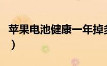 苹果电池健康一年掉多少正常（苹果电池健康）