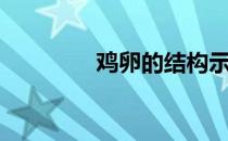 鸡卵的结构示意图（鸡卵）
