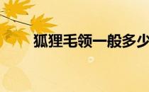 狐狸毛领一般多少价位（狐狸毛领）