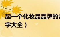 起一个化妆品品牌的名字（自创化妆品品牌名字大全）