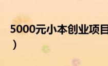 5000元小本创业项目（5000元小本投资项目）