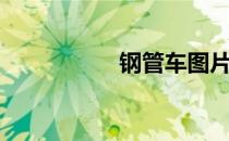 钢管车图片（钢管车）