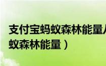 支付宝蚂蚁森林能量八百多克一个（支付宝蚂蚁森林能量）