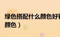 绿色搭配什么颜色好看效果图（绿色搭配什么颜色）