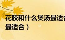 花胶和什么煲汤最适合小孩（花胶和什么煲汤最适合）