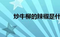 炒牛柳的辣椒是什么辣椒（炒牛柳）