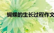 蝴蝶的生长过程作文（蝴蝶的生长过程）
