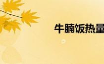 牛腩饭热量（牛腩饭）