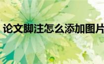 论文脚注怎么添加图片（论文脚注怎么添加）