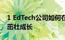 1 EdTech公司如何在高风险状态测试动荡中茁壮成长