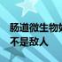 肠道微生物如何发出信号 表明他们是朋友 而不是敌人