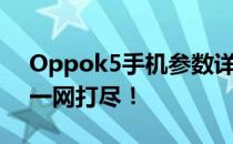 Oppok5手机参数详解：性能、设计与功能一网打尽！