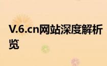 V.6.cn网站深度解析：功能特点与服务优势概览