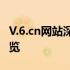 V.6.cn网站深度解析：功能特点与服务优势概览