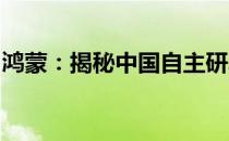 鸿蒙：揭秘中国自主研发的操作系统神秘面纱