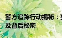 警方追踪行动揭秘：犯罪嫌犯陈杰的真实面目及背后秘密